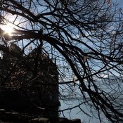 2011-01-svajcarska