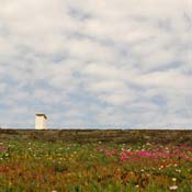 april2007/cadaques_Port_Lligat
